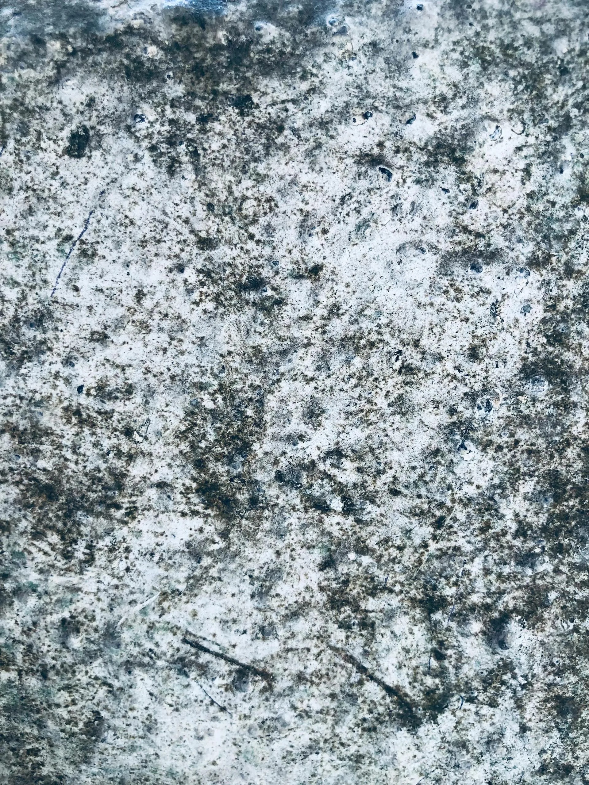 Mould & Mildew