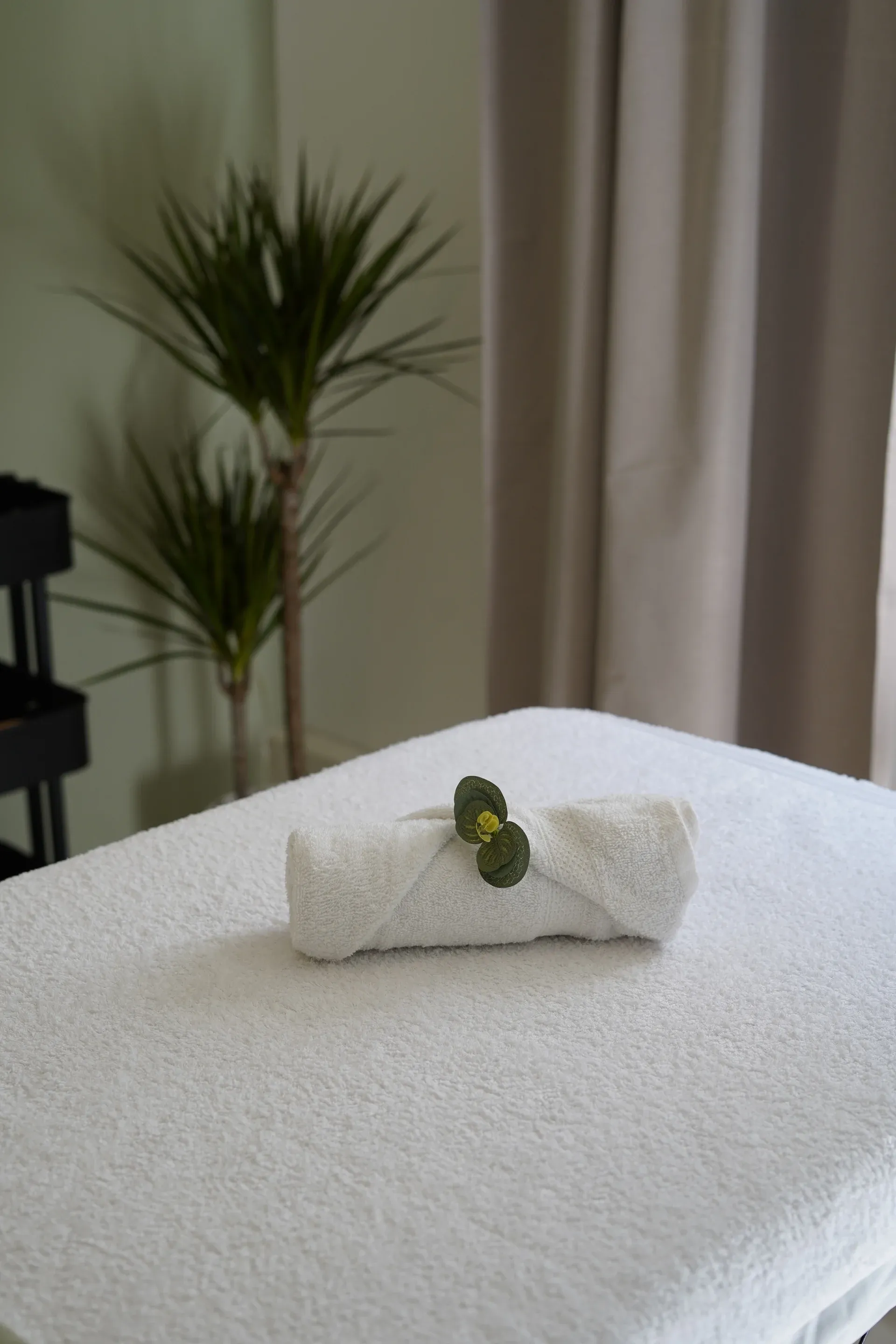 Spas & Wellness Centres